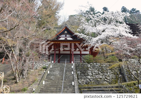 Yamato Tatsunomine Tanzan Shrine, Shinto Shrine Worship Hall Yamato Tatsunomine Tanzan Shrine, Shinto Shrine Worship Hall 125729621
