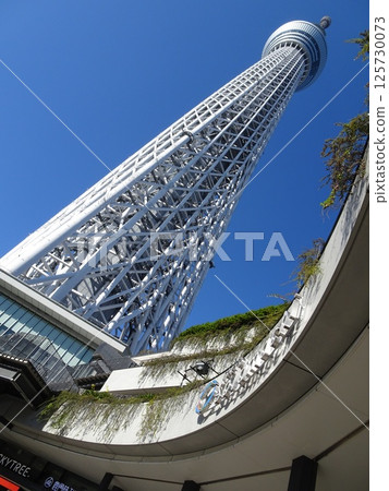 Tokyo Skytree in November-3 Tokyo Skytree in November-3 125730073