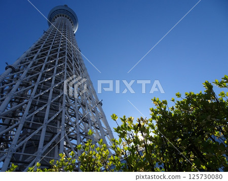 11月9日的東京晴空塔 11月9日的東京晴空塔 125730080