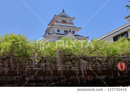 佐賀縣唐津市的唐津城和紫藤花 125730416