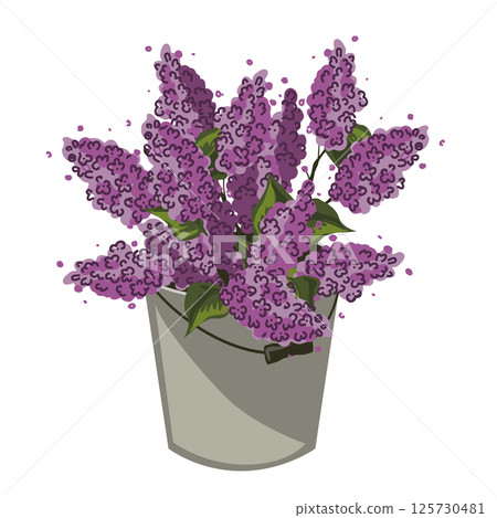 Bunch of lilac brunches in a metal bucket. Purple lilacs bouquet. Vector isolated illustration Bunch of lilac brunches in a metal bucket. Purple lilacs bouquet. Vector isolated illustration 125730481