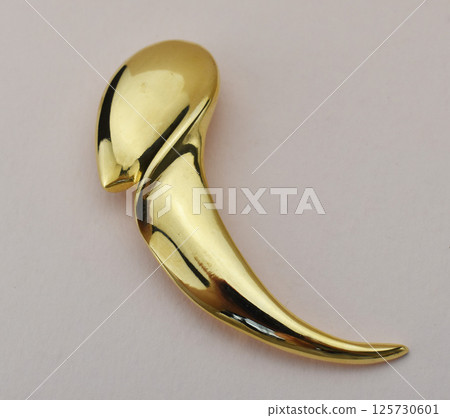 Artisan brooch closeup shot for women vintage jewelry Artisan brooch closeup shot for women vintage jewelry 125730601