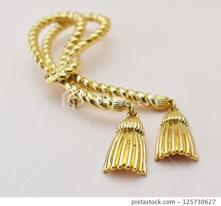 Delicate fashion brooch for women jewelry closeup image Delicate fashion brooch for women jewelry closeup image 125730627