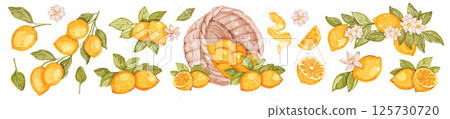 Watercolor lemon summer fruit collection, Italian citrus hand drawn wedding decor illustration.  125730720