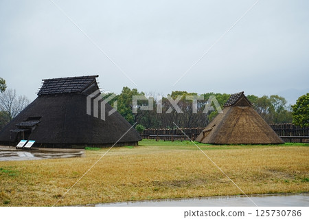 Yoshinogari ruins, Saga, Japan Yoshinogari ruins, Saga, Japan 125730786
