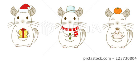 Winter chinchilla illustration set (pied) 125730804