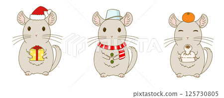 Winter chinchilla illustration set (beige) Winter chinchilla illustration set (beige) 125730805