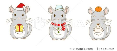 Winter chinchilla illustration set (gray) Winter chinchilla illustration set (gray) 125730806