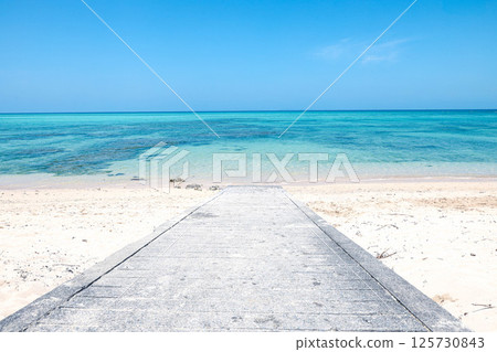 通往大海的路 125730843