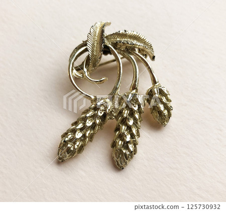 Brooch fashion jewelry flat product image for women Brooch fashion jewelry flat product image for women 125730932