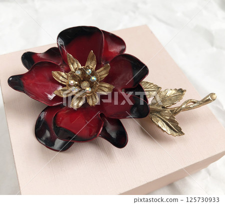 Unique detail brooch for women vintage style photography Unique detail brooch for women vintage style photography 125730933