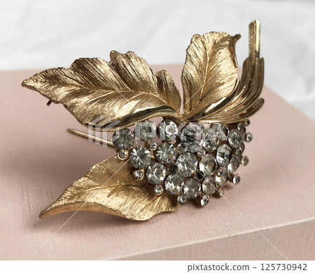 Womens vintage fashion brooch clean product layout 125730942