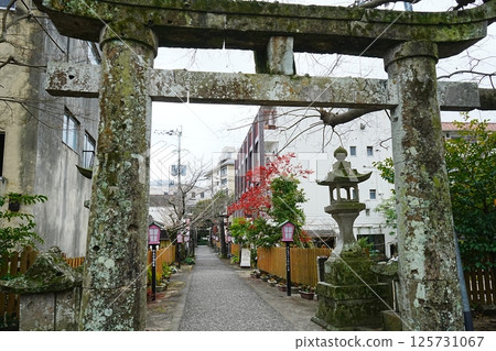 日式佐賀嬉野溫泉豐玉姫神社鳥居 125731067