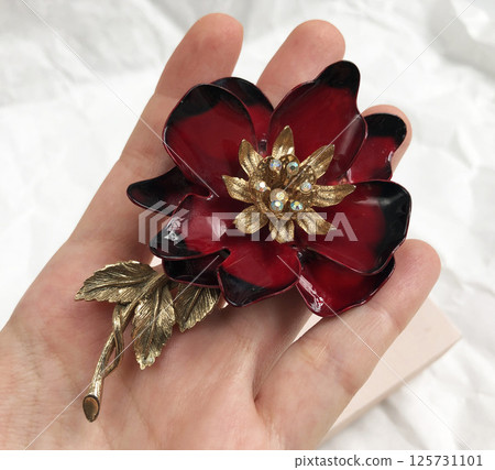 Fashion jewelry photo of brooch vintage style for women Fashion jewelry photo of brooch vintage style for women 125731101