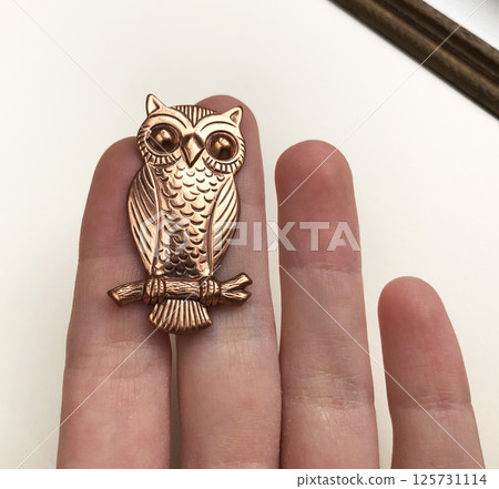 Vintage brooch womens accessory on clean soft background Vintage brooch womens accessory on clean soft background 125731114