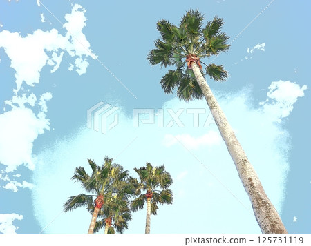 棕櫚樹伸向藍天 棕櫚樹伸向藍天 125731119
