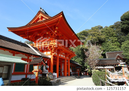 京都的世界遺產上賀茂神社(加茂大社) 京都的世界遺產上賀茂神社(加茂大社) 125731157