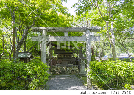 京都新綠、足野念佛寺、天滿宮 125732548