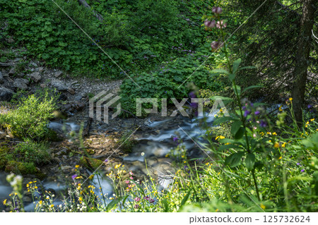 Alpine stream 125732624