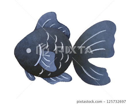 Illustration of a black goldfish seen from the side 125732697