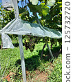 Winery visit 125732720