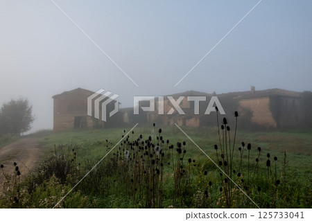 Foggy rural landscape with an abandoned farmhouse surrounded by green fields 125733041