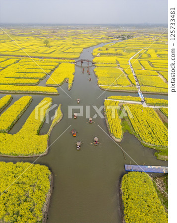 強姦開花 強姦開花 125733481