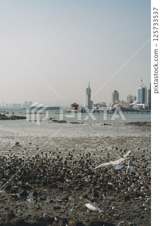 中國青島 125733537