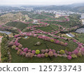 福建省太平櫻花茶場 125733743