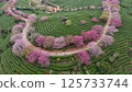 福建省太平櫻花茶場 125733744