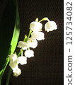 Mysterious Lily of the Valley 125734082
