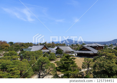 春天的京都：二條城本丸禦殿（京都府京都市中京區） 125734451