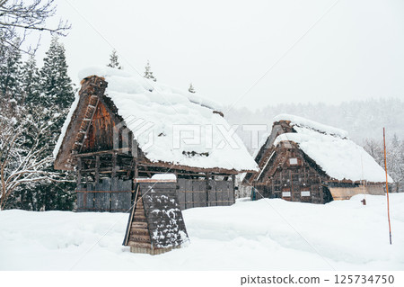 【岐阜縣】白川鄉、五箇山合掌村的冬日白雪 125734750