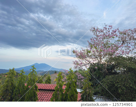 Stunning view of mountain landscape with blooming trees at dusk in Nicaragua 125734901