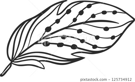 Hand drawn feather featuring intricate black lines and decorative dots, creating an elegant pattern perfect for enhancing various design projects and artistic endeavors 125734912