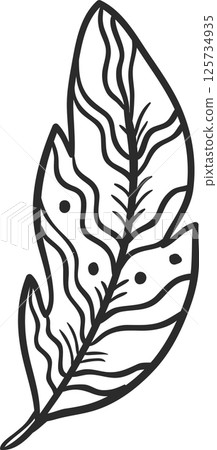 Single feather with wavy lines and dots, hand drawn illustration emphasizing lightness, softness, and delicate details, suitable for various design purposes 125734935