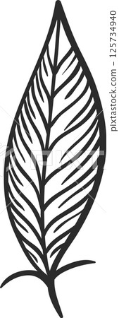 Hand drawn feather featuring thin, parallel lines creating a visually appealing striped pattern, ideal for nature inspired designs, illustrations, or artistic projects Hand drawn feather featuring thin, parallel lines creating a visually appealing striped pattern, ideal for nature inspired designs, illustrations, or artistic projects 125734940