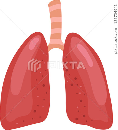 Cartoon illustration of healthy human lungs showing the trachea and bronchi, representing the respiratory system and the process of breathing, essential for human life Cartoon illustration of healthy human lungs showing the trachea and bronchi, representing the respiratory system and the process of breathing, essential for human life 125734941