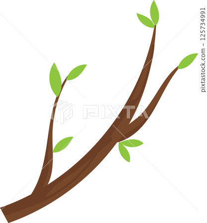 Tree branch adorned with small, light green leaves, representing new life and the vibrant renewal of nature during the spring season, highlighting growth and beauty in the ecosystem Tree branch adorned with small, light green leaves, representing new life and the vibrant renewal of nature during the spring season, highlighting growth and beauty in the ecosystem 125734991
