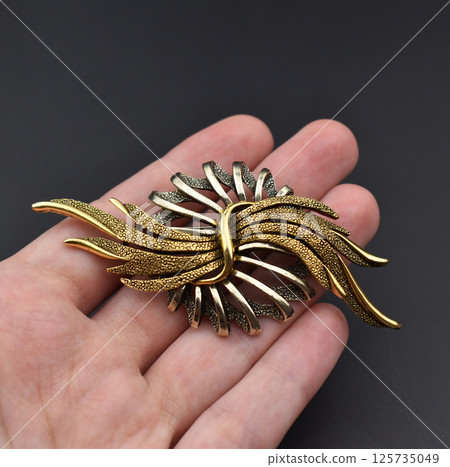 Jewelry image floral vintage brooch for womens fashion 125735049