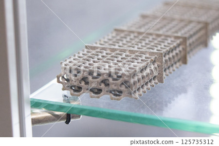 Model printed on 3D printer from grey polyamide powder close-up. Detailed prototype created on 3D printer from plastic powder. 3D printing additive powder technology, Multi Jet Fusion MJF technology 125735312