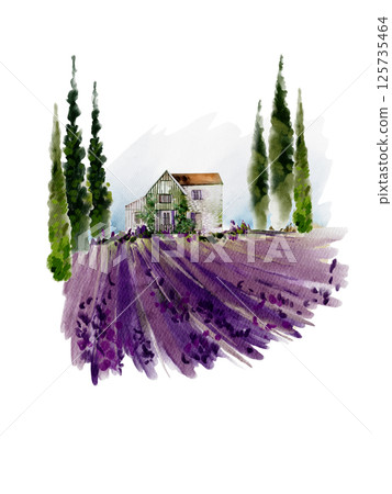 Watercolor card with lavender field. Watercolor card with lavender field. 125735464