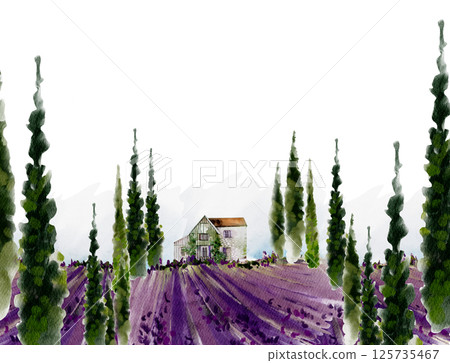 Watercolor Card with lavender fields and green trees. Illustration Watercolor Card with lavender fields and green trees. Illustration 125735467