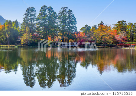 Autumn leaves of Yufuin gold scale lake 125735535