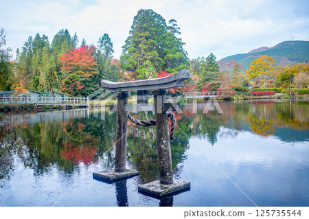 Yufuin金標度湖秋葉 125735544