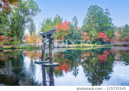 Yufuin金標度湖秋葉 125735545