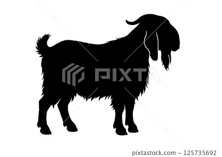 Beautiful profile silhouette of a Damascus goat 125735692