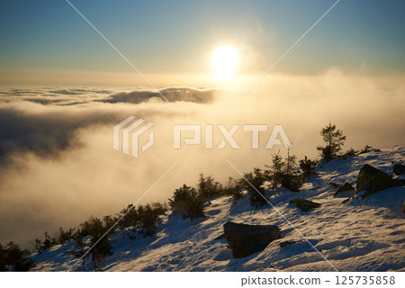 Snow-covered mountain slope at dawn, with scattered rocks and small trees adding texture to foreground. Sea of clouds below bathed in soft hues of blue and gold as sunlight gently illuminates scene. Snow-covered mountain slope at dawn, with scattered rocks and small trees adding texture to foreground. Sea of clouds below bathed in soft hues of blue and gold as sunlight gently illuminates scene. 125735858