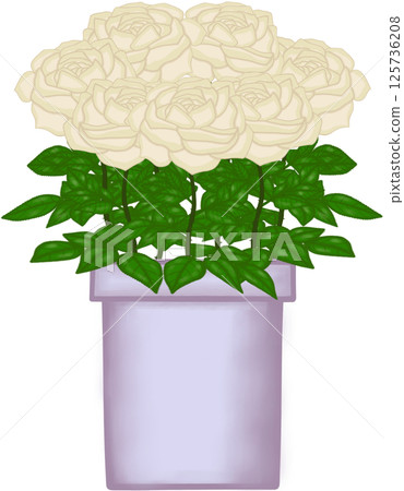 Beautiful blossom creamy roses in the purple ceramic pot for decorate home or cafe or flower shop Beautiful blossom creamy roses in the purple ceramic pot for decorate home or cafe or flower shop 125736208