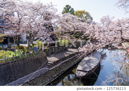 大垣市的春天風景 125736213